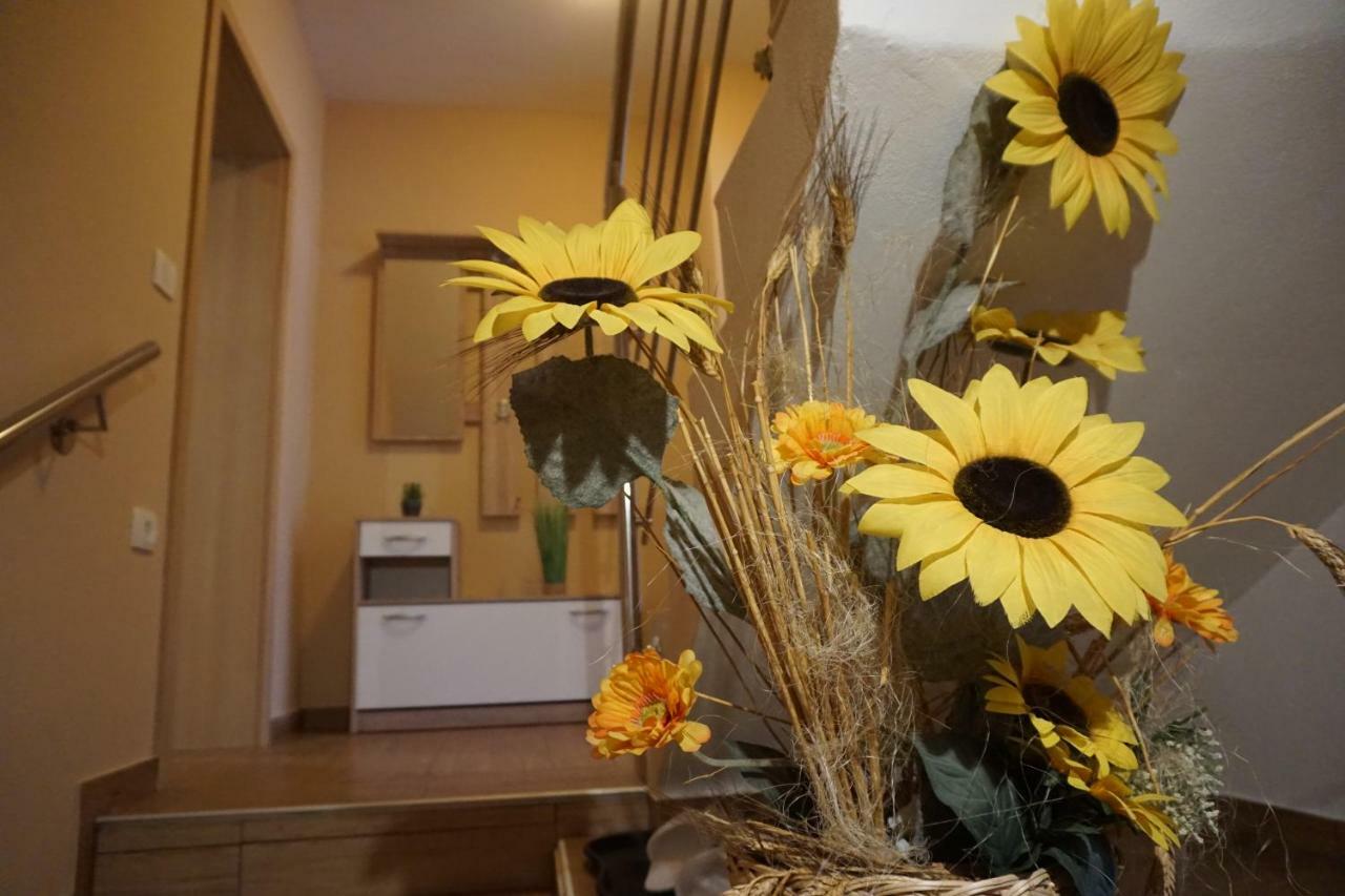 Rooms And Apartment Soca קובאריד מראה חיצוני תמונה